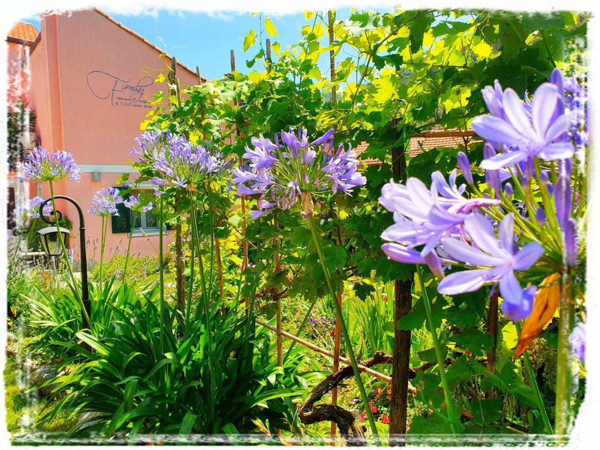 Casa Vacanze Family Albisola Superiore Buitenkant foto