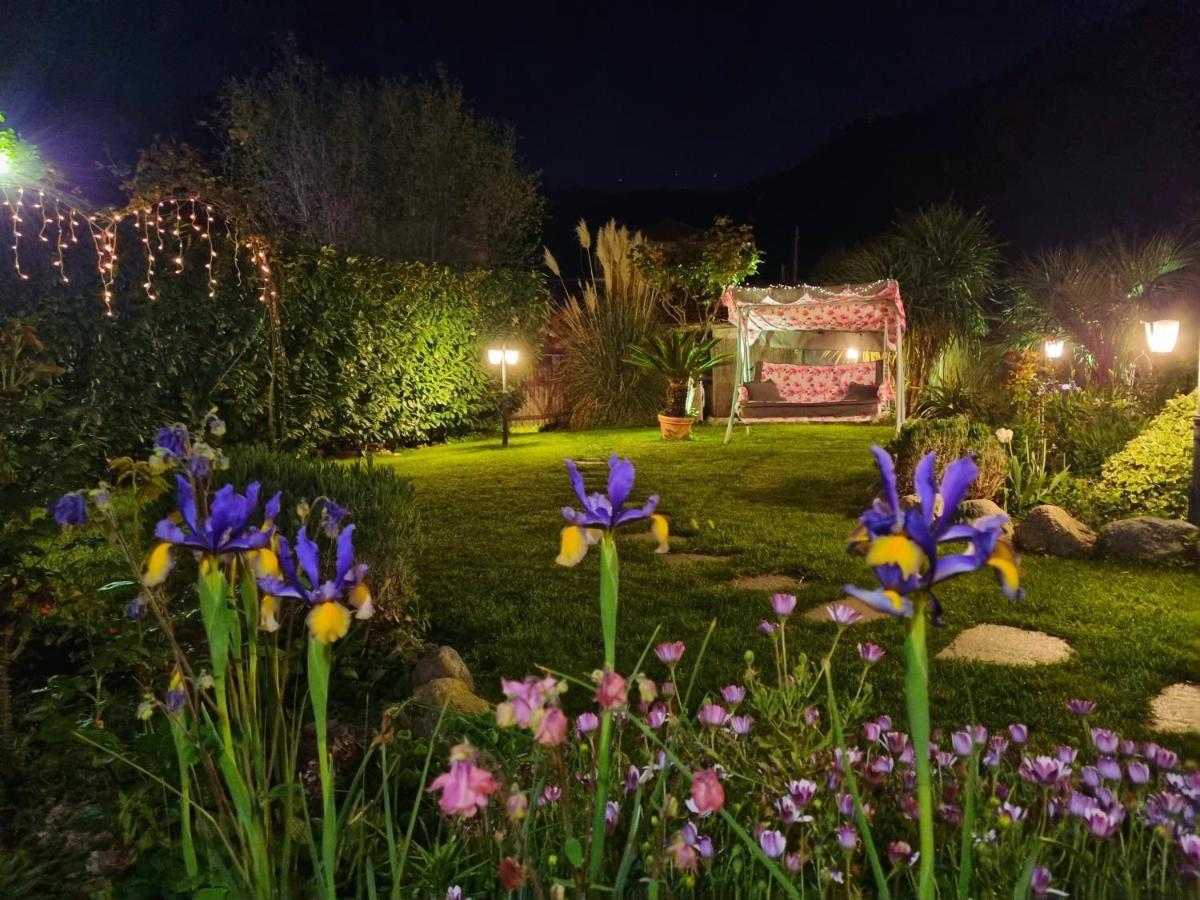 Casa Vacanze Family Albisola Superiore Buitenkant foto