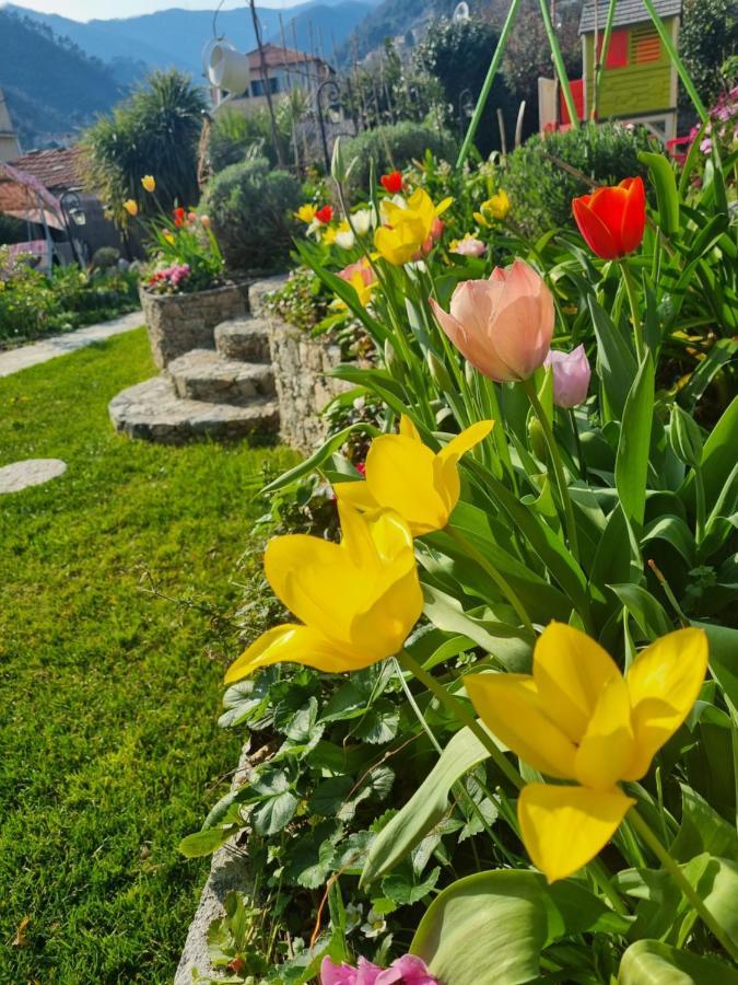Casa Vacanze Family Albisola Superiore Buitenkant foto