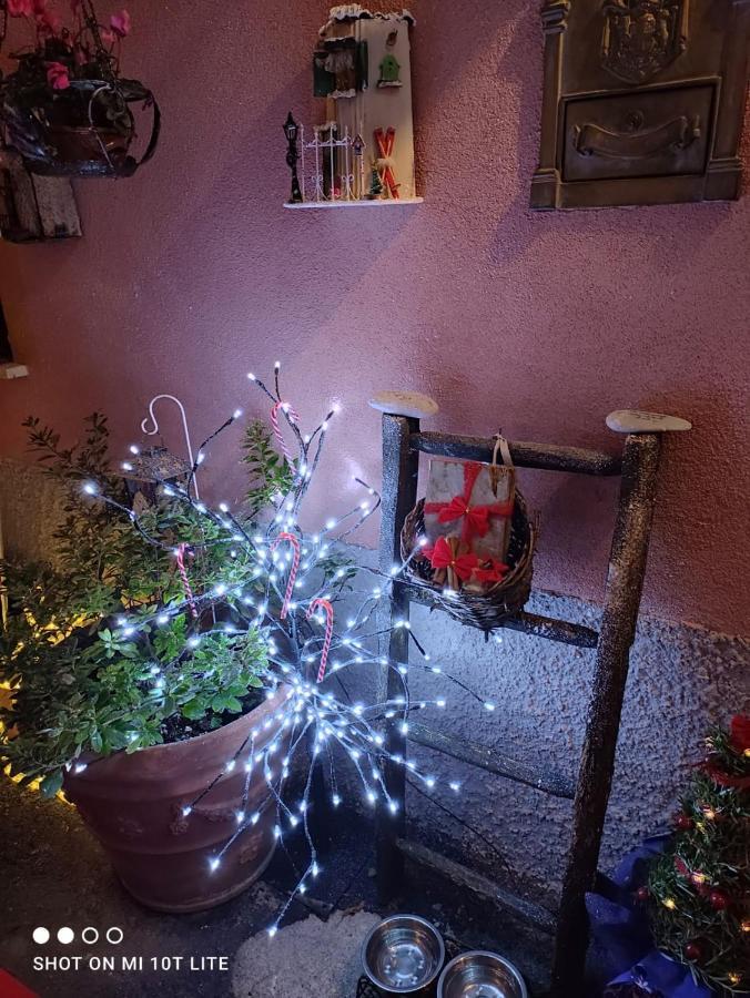 Casa Vacanze Family Albisola Superiore Buitenkant foto